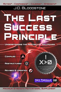 the last success principle cover
